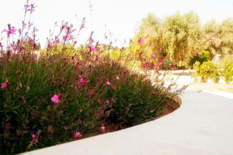 Agriturismo Fontanelle Otranto Bagian luar foto